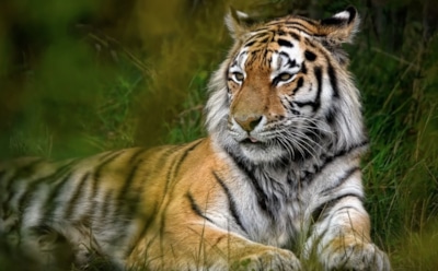 29 июля: какие праздники отмечают в этот день