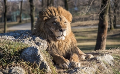 10 августа: какие праздники отмечают в этот день
