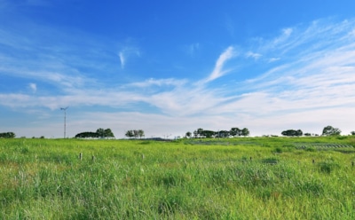 12 августа: какие праздники отмечают в этот день
