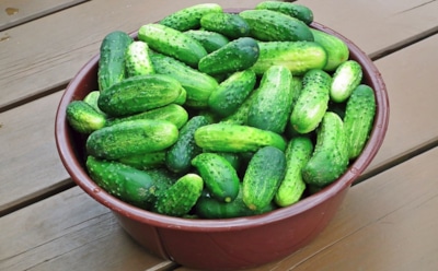 15 августа: какие праздники отмечают в этот день