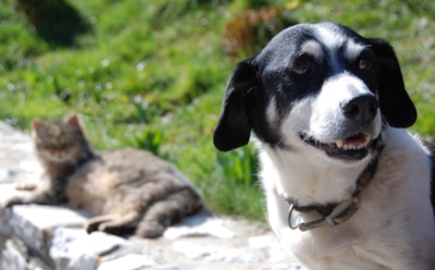 19 августа: какие праздники отмечают в этот день