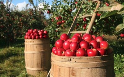 14 сентября: какие праздники отмечают в этот день