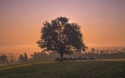 16 сентября: какие праздники отмечают в этот день