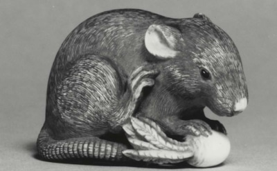 Появился первый снимок редчайшей гигантской крысы