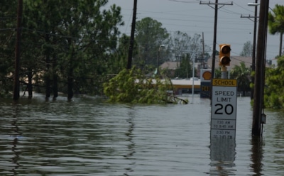В музее Севастополя погибли более 500 животных из-за урагана