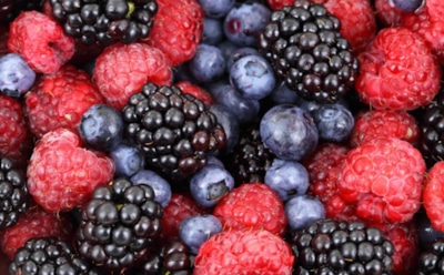 Ученые назвали ягоду, которая способна улучшить работу мозга