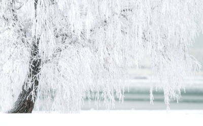 Синоптик Вильфанд предупредил об аномальных холодах в России