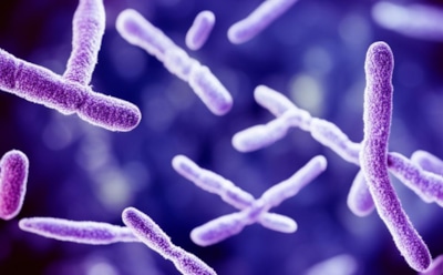 Ученые нашли связь между микробами и глобальным потеплением