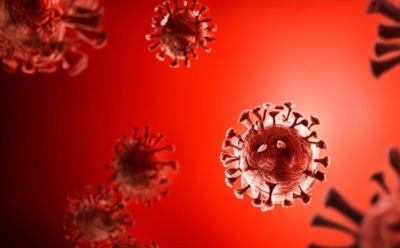 Иммунолог Крючков: птичий грипп является кандидатом на новую пандемию