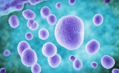 Инфекционист перечислил кардинальные симптомы микоплазмоза