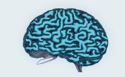 Ученые из РФ первые в мире имитировали процесс мозга для управления нейросетями