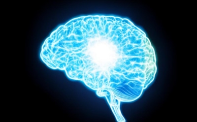 Диетолог назвала самые вредные и полезные продукты для мозга