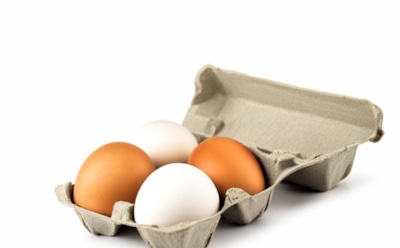 В Совфеде сообщили, когда снизятся цены на яйца