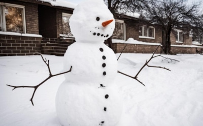 Жителя Воронежа посадили за кражу снеговика