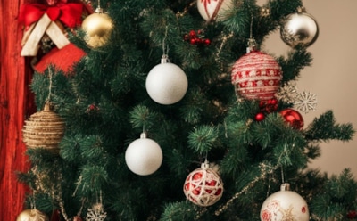 Роспотребнадзор дал совет по выбору новогодней елки