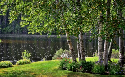 Тема природы в лирике Сергея Есенина