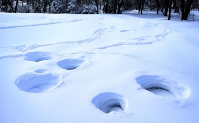 Ученые объяснили появление «взрывных кратеров» в Сибири