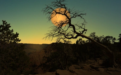 Тема природы в лирике Федора Тютчева