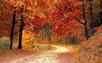 Тема природы в лирике Александра Сергеевича Пушкина