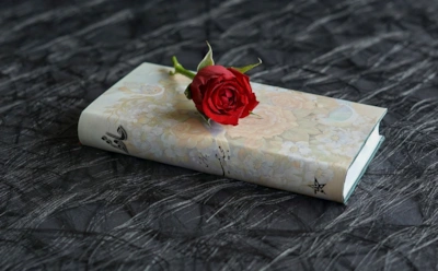 Тема любви в лирике Марины Цветаевой