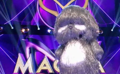 Таинственный Щенок: кто может скрываться за этой маской в одноименном шоу