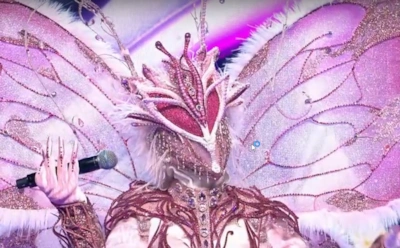 Бабочка на шоу «Маска»: интрига, версии и предположения