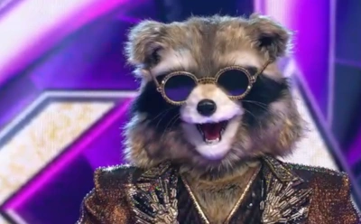 Пробуем разгадать личность Енота на шоу «Маска»: догадки и версии