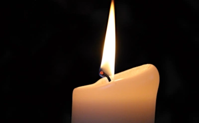 Знаменитости, которые умерли в марте 2024-го