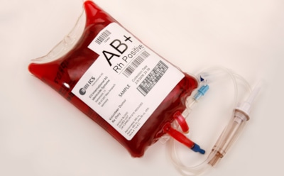 Ученые выяснили, какую группу крови больше всего любят клещи