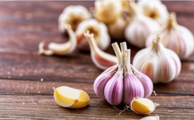 Знайте меру в воде, чтобы получить здоровый урожай чеснока: как правильно увлажнять растения на грядке и избегать ошибок — идеальный полив