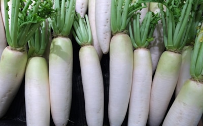 Получите рекордный урожай дайкона: секреты правильной посадки и ухода в июле — простые советы обеспечат отличный результат