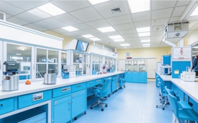 Обнадеживающее открытие в борьбе с раком: исследованный учеными белок активирует новый путь уничтожения опухолей — значение для лечения