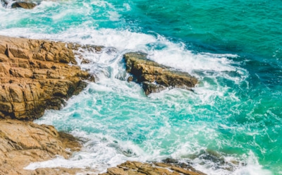 Тревожные находки ученых: глобальное потепление увеличивает концентрацию серебра в морях — токсичность для экосистем под вопросом