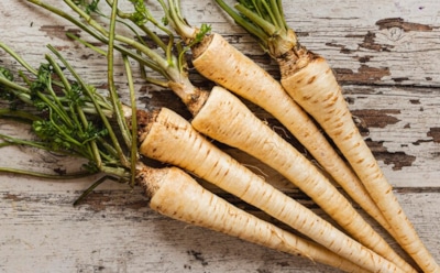 Пастернак — пока одни читают, другие спешат посадить: как неприхотливый родственник моркови и петрушки помогает огороду — борьба с сорняками и улучшение почвы