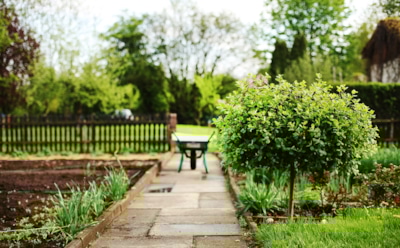 Памятка садовода и огородника: как правильно подготовить участок к зиме и что сделать в сентябре для будущего урожая — практические советы знатоков