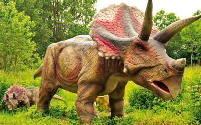 В Японии нашли предка трицератопса: новый вид древних рептилий обнаружила международная команда ученых — маленький, но значимый шаг в истории цератопсов