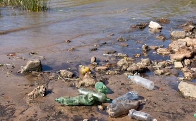 Загрязнение почв угрожает подземным организмам: почему пластик, тяжелые металлы и пестициды опаснее климатических изменений — важные выводы ученых