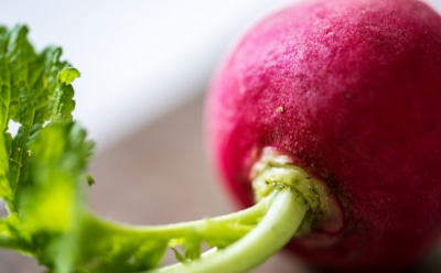Свекла как секретное оружие против болезней: нутрициолог раскрыла скрытые возможности корнеплода — мощная профилактика рака и сердечных проблем
