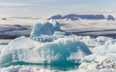 Древние леса и теплая тундра: ученые выяснили, какой была Антарктида миллионы лет назад — в будущем континент может снова оттаять