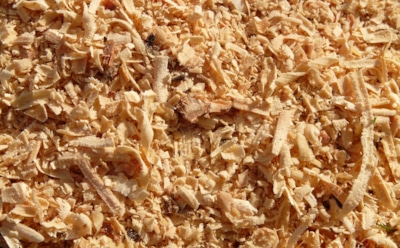 Превратите опилки из привычной мульчи в эффективное удобрение: простой способ поможет обогатить почву без закисления — садоводы оценят результат