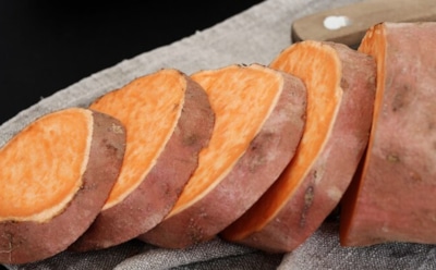 Для тех, кто хочет вырастить не только картофель: советы по выращиванию сладкого батата — меняем представление о малознакомом овоще