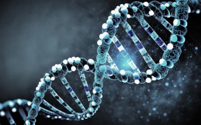 Новые методы изменения ДНК: ученые разработали технологию для изучения генома — перспективы генной инженерии расширяются