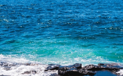 Замедление Гольфстрима угрожает климату: гидрологи предсказали глобальные изменения из-за остановки течений в Атлантике — что ждет природу и сельское хозяйство