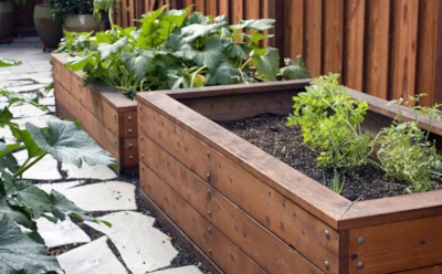 Дачные хитрости для ленивых: как «умные» грядки облегчают уход за растениями — идеальное решение для тех, кто не готов проводить все лето на участке