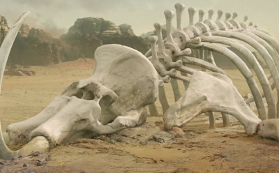 Причина Великого пермского вымирания раскрыта: как климатический сдвиг 252 млн лет назад уничтожил 90% видов — уроки для современного мира