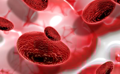 Пищевые антигены против рака: как молочные белки и аллергены останавливают рост опухолей в кишечнике — неожиданные выводы ученых из Японии