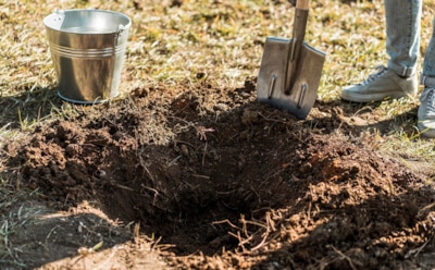 Готовим грунт для рассады своими руками: домашний способ — эффективная альтернатива покупному