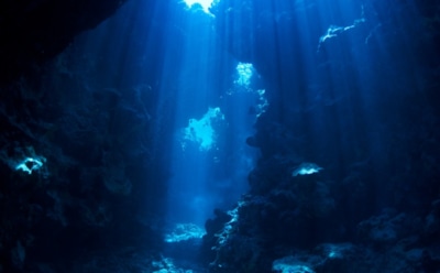 Никаких тебе пришельцев: загадочные шумы в Марианской впадине разгаданы — неожиданные данные ученых