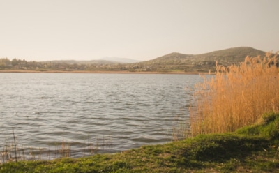 Бактерии теперь светятся: новый способ обнаружения загрязнений в водоемах — экологи нашли решение