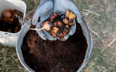 Экспресс-метод создания перегноя: проверенный эффективный способ — готово за 2,5 месяца